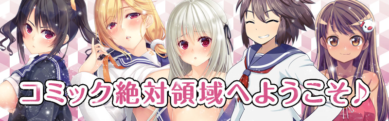 メイドル絶対領域